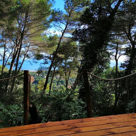 Cabane Azur Mountain 발로리스 외부 사진